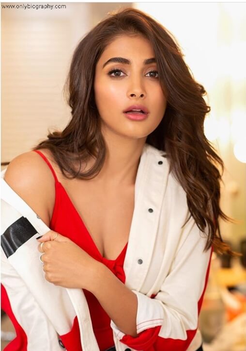 Pooja Hegde Biography Age, Height, Family, Boyfriend And